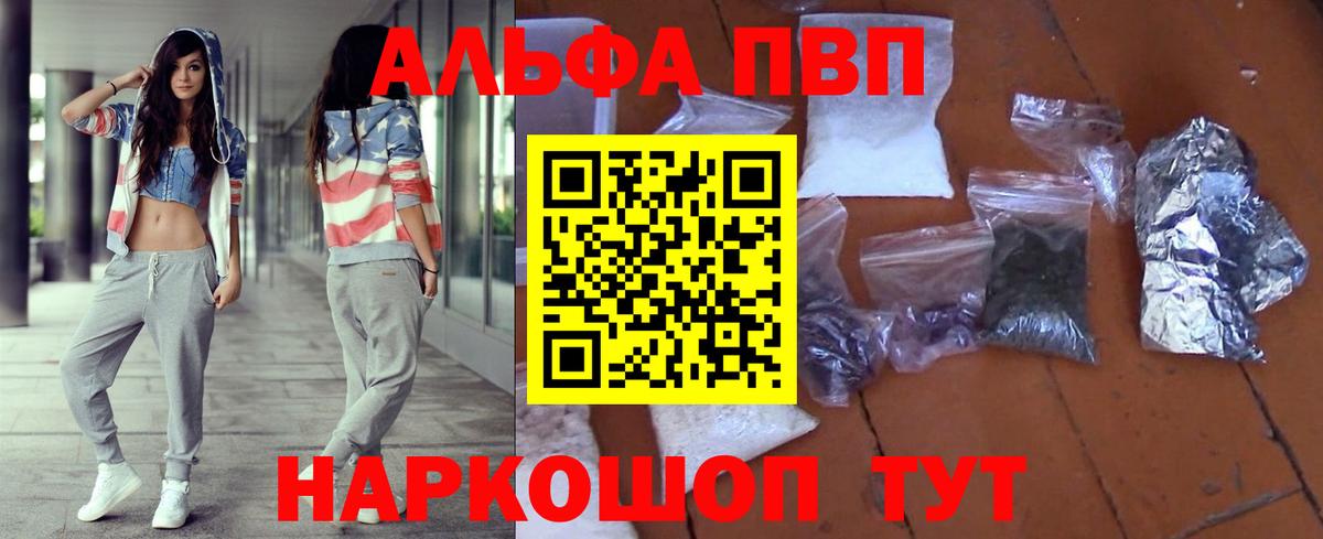 Alfa_PVP СК Курчалой