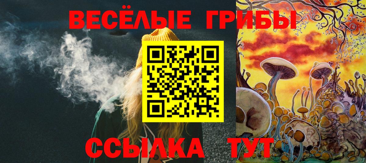 что такое   Псилоцибиновые грибы Magic Shrooms  Вход с VPN  Псилоцибиновые грибы прущие грибы  Курчалой 