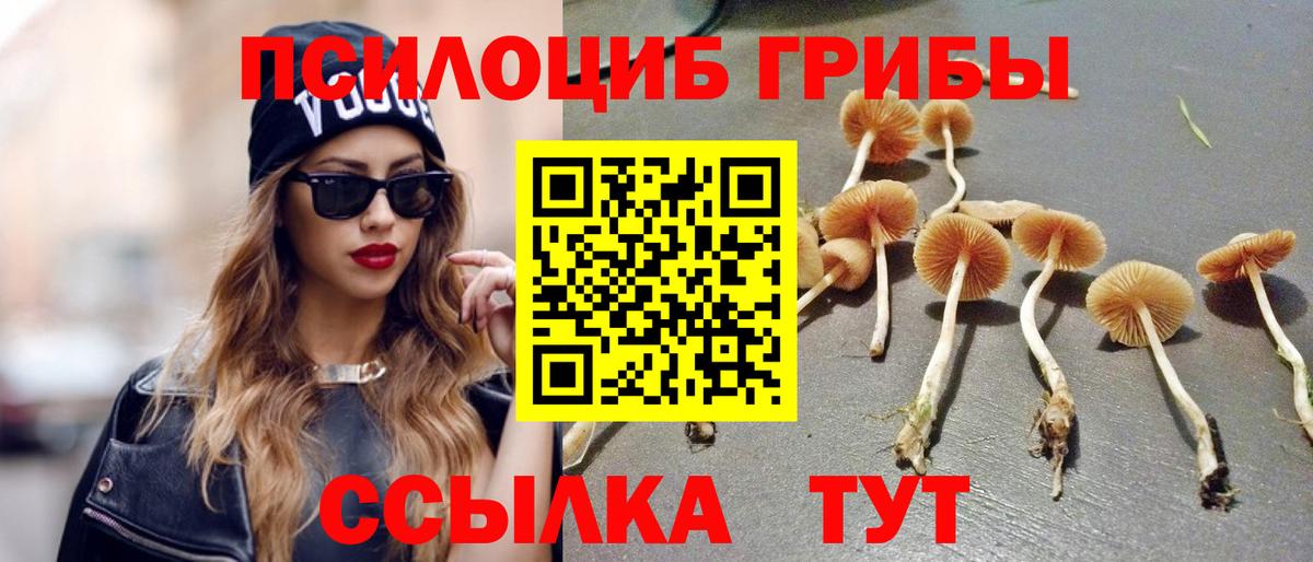 Галлюциногенные грибы Cubensis Курчалой